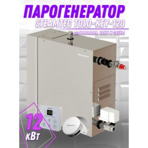 Парогенератор для хамама и турецкой бани Steamtec TOLO-120-KEY, 12 кВт