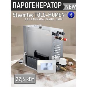 Парогенератор для хамама и турецкой бани Steamtec TOLO MOMENT 225, 22,5 кВт