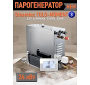 Парогенератор для хамама и турецкой бани Steamtec TOLO MOMENT 240, 24,0 кВт