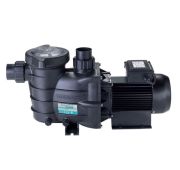 Насос Hayward PL 81006 (220В, 15 м3/ч, 1HP)