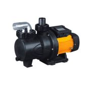 Насос FCP-S с префильтром 3,6м3/час,220В шланг d.38 мм, версия 10S, P.King  /FCP-180S/